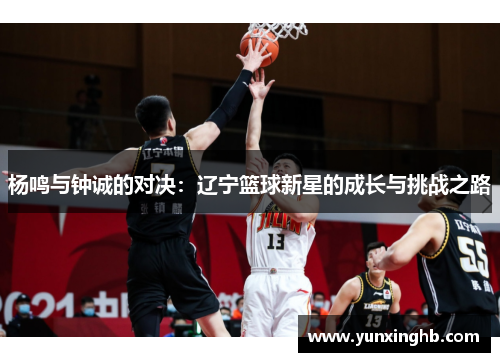 杨鸣与钟诚的对决：辽宁篮球新星的成长与挑战之路